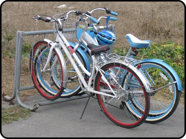 Bicyles in bike rack