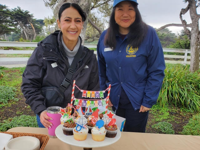 cupcake sales