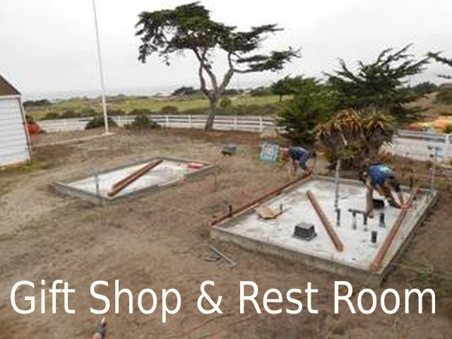 Gift Shop and Rest Room construction