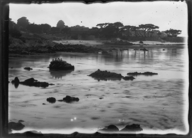 homemade dry plate image of Lovers Point