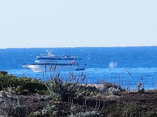 whale spout near whale watching boat